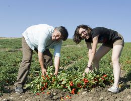 Immagine 4 di PASSATA DI POMODORO BIO PRUNILL