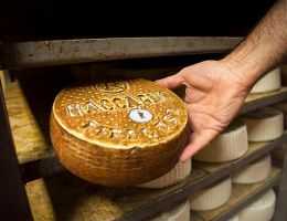 Immagine 2 di MACCAGNO A LATTE CRUDO CASEIFICIO ROSSO