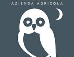 Immagine 5 di OLIO EXTRAVERGINE DI OLIVA CULTIVAR MARINESE QUALITA' SUPERIORE