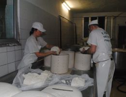 Immagine 4 di PANNERONE LODIGIANO CASAIFICIO CARENA