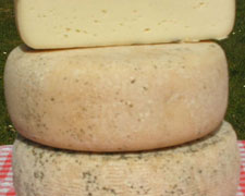 Immagine 1 di STRACCHINO DI PECORA