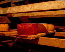 Immagine 1 di MAIORCHINO A LATTE MISTO