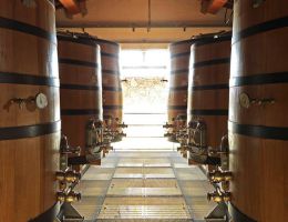 Immagine 5 di CHIANTI CLASSICO D.O.C.G. QUERCIABELLA