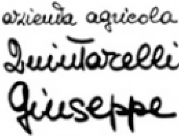 Immagine 2 di AMARONE DELLA VALPOLICELLA CLASSICO D.O.C. GIUSEPPE QUINTARELLI