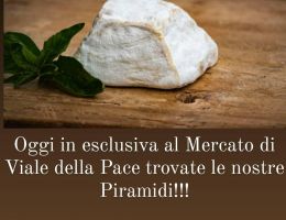 Immagine 2 di VARIETA' DI FORMAGGI DI CAPRA  AGRITURISMO LES ECUREUILS