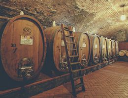 Immagine 2 di BARBERA D'ASTI D.O.C.G. SANPANSE’ DISTILLERIA & CANTINA ROVERO