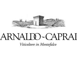 Immagine 5 di SAGRANTINO DI MONTEFALCO D.O.C.G. 25 ANNI