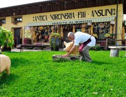 Immagine 5 di PROSCIUTTO CRUDO DI NORCIA I.G.P. ANTICA NORICNERIA F.LLI ANSUINI