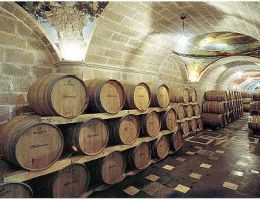 Immagine 5 di TAURASI RISERVA D.O.C.G. RADICI