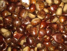 Immagine 2 di CASTAGNA DELLA SILA