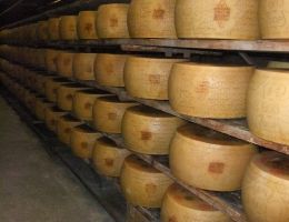 Immagine 2 di GRANA PADANO D.O.P. BIOLOGICO CASEIFICIO TOMASONI