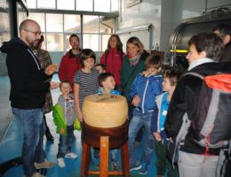 Immagine 3 di GRANA PADANO D.O.P. BIOLOGICO CASEIFICIO TOMASONI