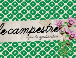 Immagine 2 di CONCIATO ROMANO