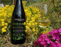 Immagine 1 di D.O.C. COLLI EUGANEI MANZONI BIANCO PEDEVENDA