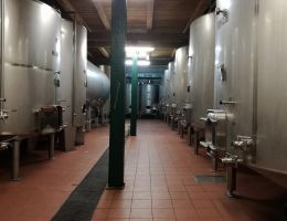 Immagine 3 di D.O.C. COLLI EUGANEI MANZONI BIANCO PEDEVENDA