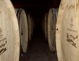 Immagine 4 di D.O.C. COLLI EUGANEI MANZONI BIANCO PEDEVENDA