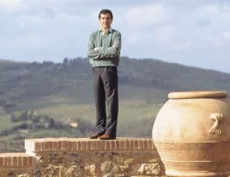 Immagine 1 di MERIGGIO SAUVIGNON I.G.T.COLLI DELLA TOSCANA CENTRALE