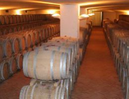 Immagine 2 di MERIGGIO SAUVIGNON I.G.T.COLLI DELLA TOSCANA CENTRALE