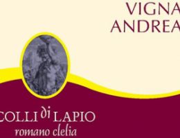 Immagine 3 di TAURASI D.O.C.G. VIGNA ANDREA