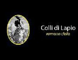 Immagine 5 di TAURASI D.O.C.G. VIGNA ANDREA