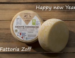 Immagine 4 di CACIOTTA CORMONS BIO CASEIFICIO GIUSEPPE  ZOFF