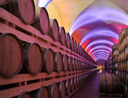 Immagine 2 di GRAPPA INVECCHIATA SELEZIONE DEL FONDATORE PAOLO BERTA