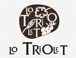 Immagine 2 di VALLÉE D’AOSTE GAMAY D.O.C. LO TRIOLET