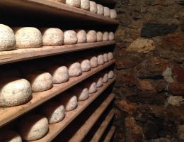 Immagine 2 di PECORINO DI GROTTA