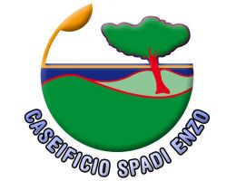 Immagine 3 di PECORINO DI GROTTA