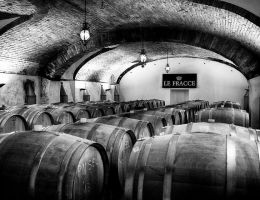 Immagine 4 di FERNANDO BUSSOLERA SPECIAL CUVÉE EXTRA BRUT PINOT NERO TENUTA LE FRACCE