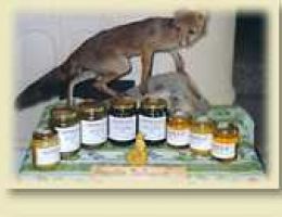 Immagine 1 di VARIETA' DI MIELE BIO AGRI SAN MATERNO