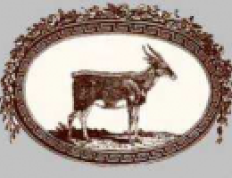 Immagine 2 di FORMAGGIO DI CAPRA AL PEPE VERDE
