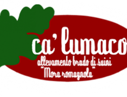 Immagine 3 di PROSCIUTTO CRUDO DI MORA ROMAGNOLA  SALUMIFICIO CA' LUMACO