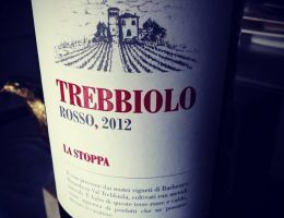 Immagine 1 di EMILIA ROSSO I.G.T. TREBBIOLO LASTOPPA