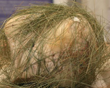 Immagine 1 di SERAS DEL FEN CASEIFICIO LA CAPRA CAMPA