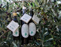 Immagine 1 di OLIO EXTRAVERGINE DI OLIVA BIOLOGICO SINFONIA DI DELICATEZZE