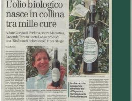 Immagine 5 di OLIO EXTRAVERGINE DI OLIVA BIOLOGICO SINFONIA DI DELICATEZZE