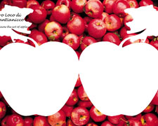 Immagine 1 di La Mela di Pantianicco