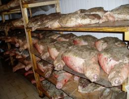 Immagine 3 di PROSCIUTTO CRUDO GRIGIO DEL CASENTINO