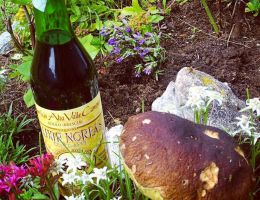 Immagine 4 di ELIXIR NOREAS CENTO ANNI LIQUORIFICIO ALTA VALLE CAMONICA