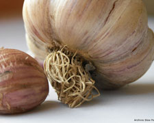 Immagine 1 di Aglio di Reisa