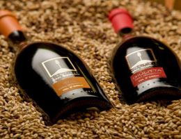 Immagine 3 di GIULITTA AMBRATA STILE ENGLISH PALE ALE  DOPPIO MALTO