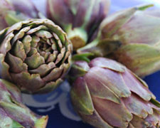 Immagine 1 di CARCIOFO DI SAN MINIATO