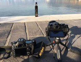 Immagine 4 di OLIO EXTRAVERGINE DI OLIVA GARDA ORIENTALE D.O.P. ETICHETTA ORO