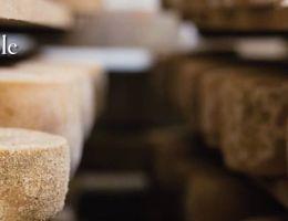 Immagine 4 di PECORINO DI PIENZA GRAN RISERVA PODERE BIO IL CASALE