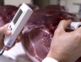 Immagine 3 di PROSCIUTTO CRUDO PRATOMAGNO PROSCIUTTIFICIO PRATOMAGNO