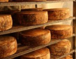 Immagine 4 di CASTELGROTTA DI SCHIO