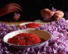 Immagine 1 di ZAFFERANO DI CITTA' DELLA PIEVE