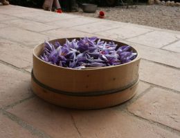 Immagine 2 di ZAFFERANO DI CITTA' DELLA PIEVE