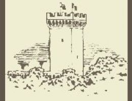 Immagine 2 di OLIO EXTRAVERGINE DI OLIVA VICOPISANOLIO I.G.P. TOSCANO BIO